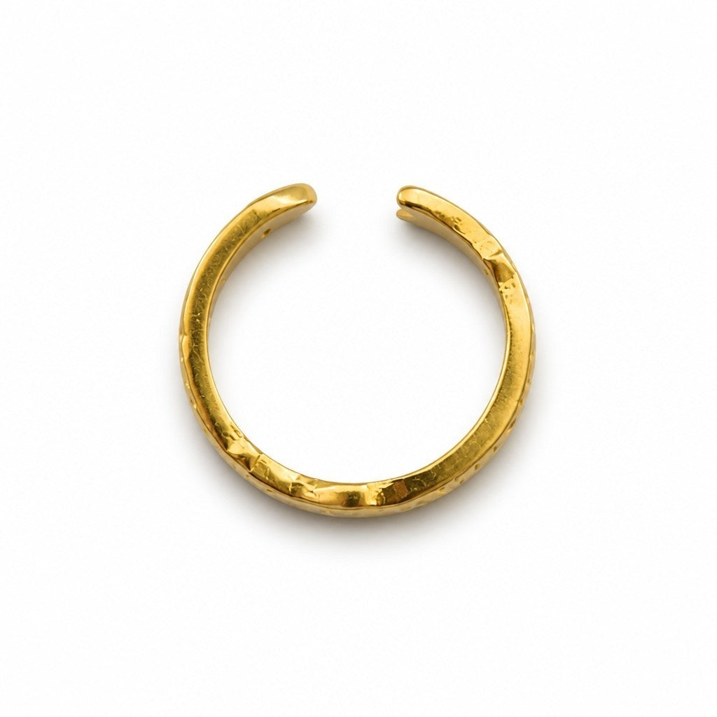 Anillo Ajustable Banda Pez con Circones Baño de Oro