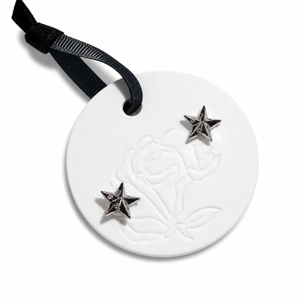 Aros Estrella Polar Plata con Zircón